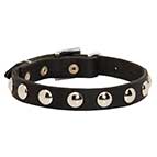 Trendy Leather German Shepherd Collar with Half-Ball Studs