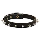 Designer Spiked Leather German Shepherd Collar
