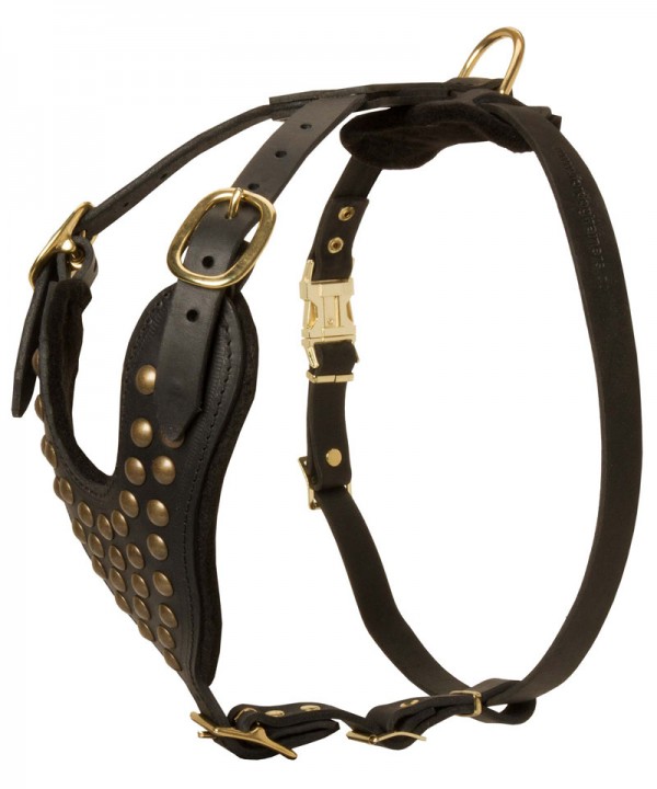Adjustable Leather German Shepherd Harness with Studs for Walking