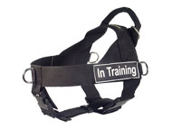 dog-harness-ultimate-control-h17-all-weather-multi-tasking-in-training