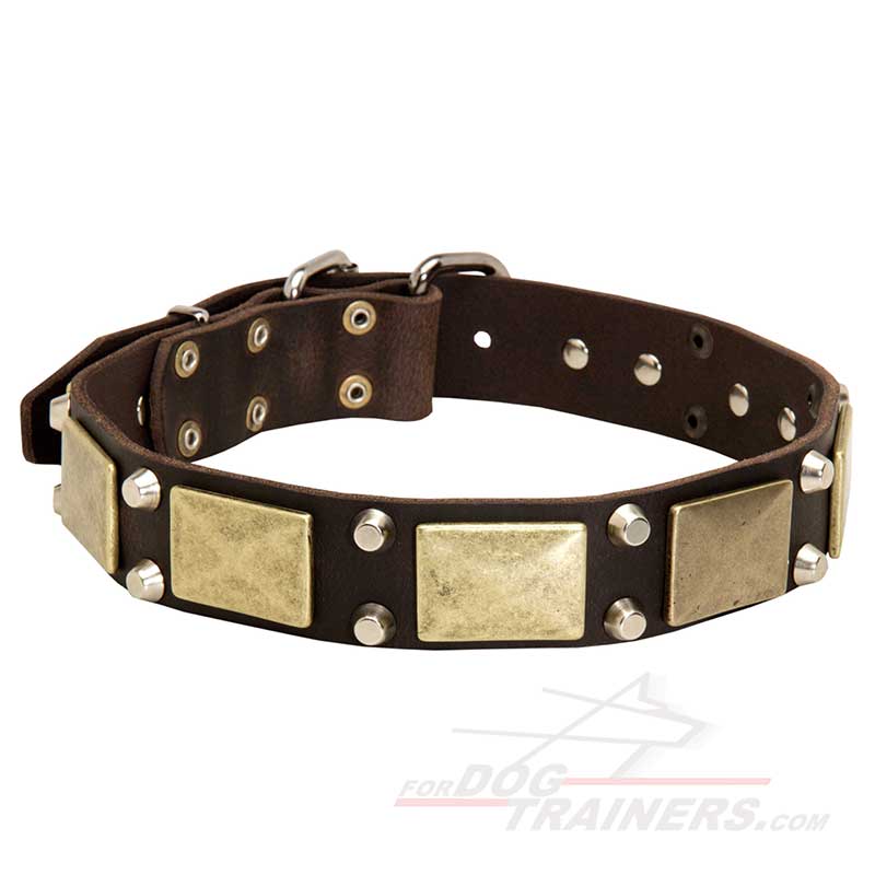 Superb Leather Collar for German Shepherd