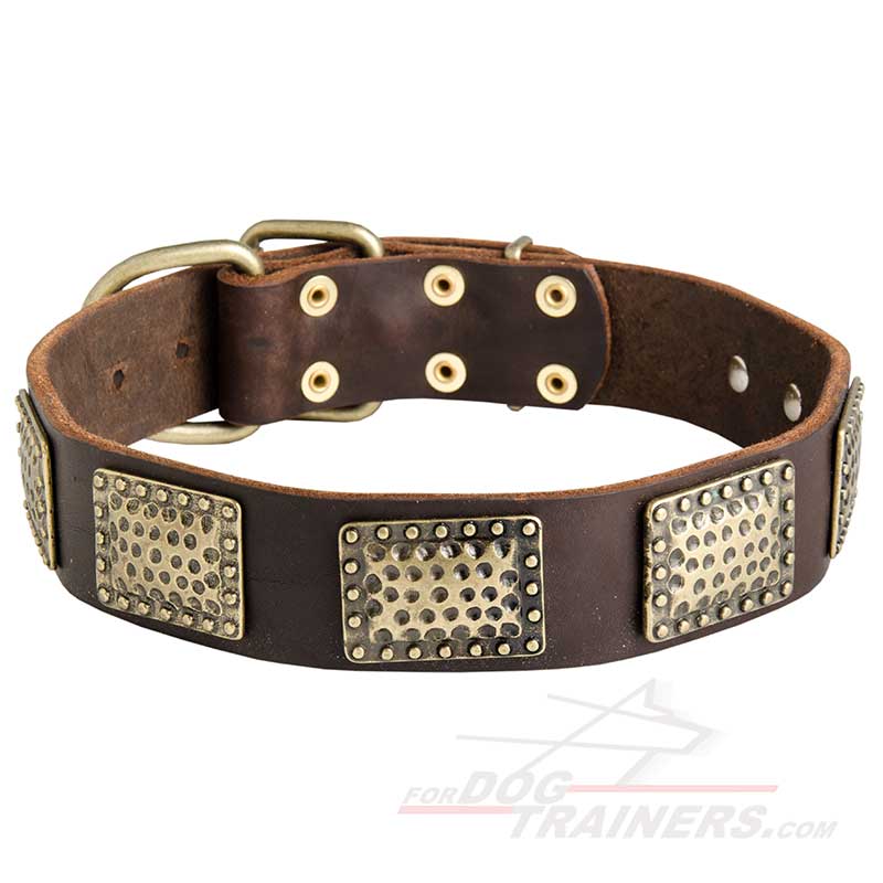 New Gorgeous War German Shepherd Leather Collar