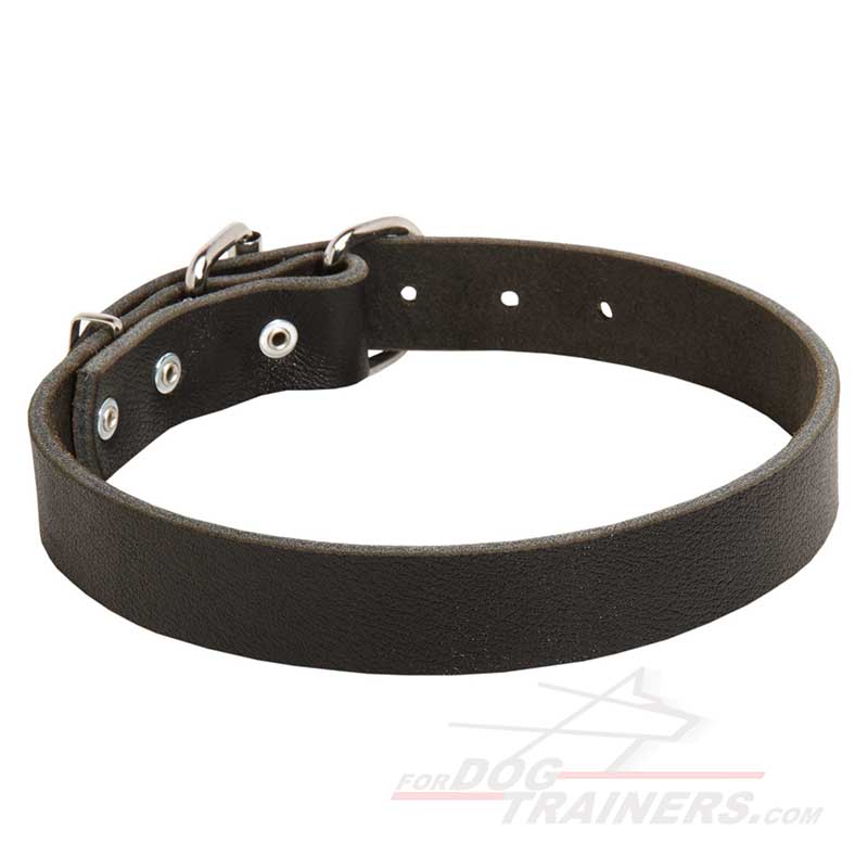 Reliable Leather German Shepherd Collar