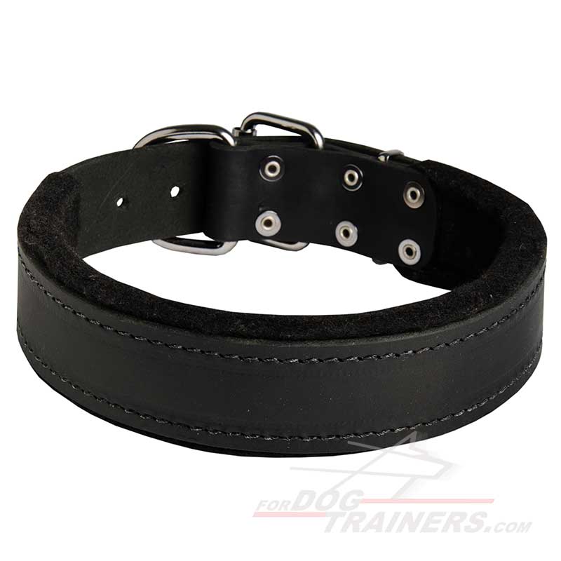 Padded Leather German Shepherd Dog Collar