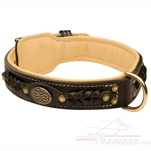 Soft Nappa Padded Leather German Shepherd Collar with Braids