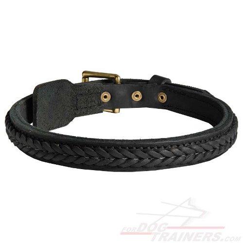 Top Notch Braided Leather German Shepherd Collar