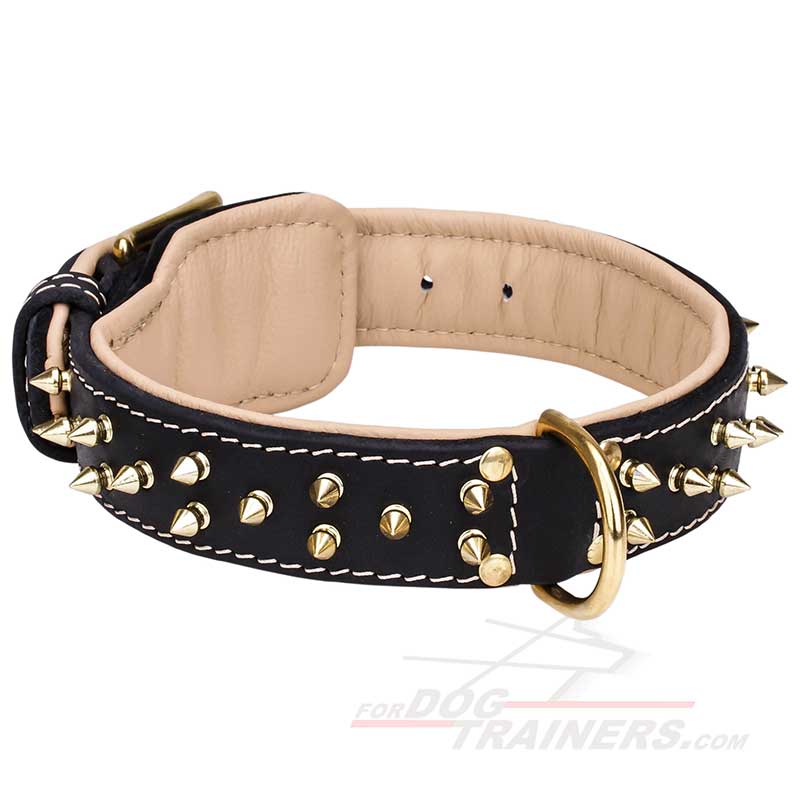 Hand-Decorated Leather German Shepherd Collar with Brass Spikes