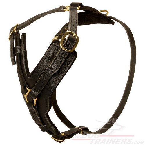 Leather German Shepherd Harness for Walking and Training