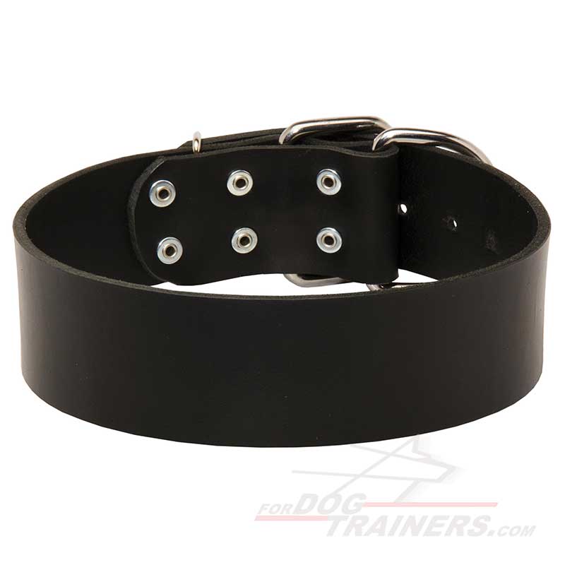 2 inch Wide Leather German Shepherd Collar
