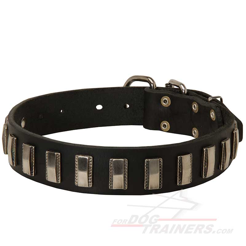Impressive Leather German Shepherd Collar with Plates