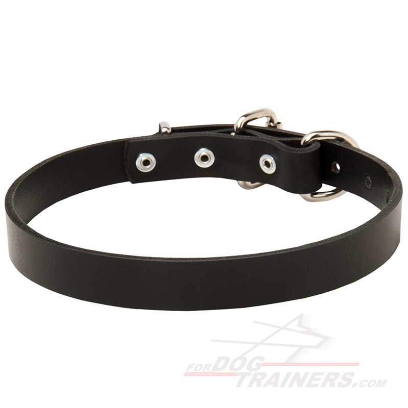 Leather Collar for Energetic German Shepherd Dog