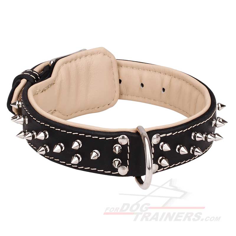 Superior Designed Leather German Shepherd Collar with Spikes
