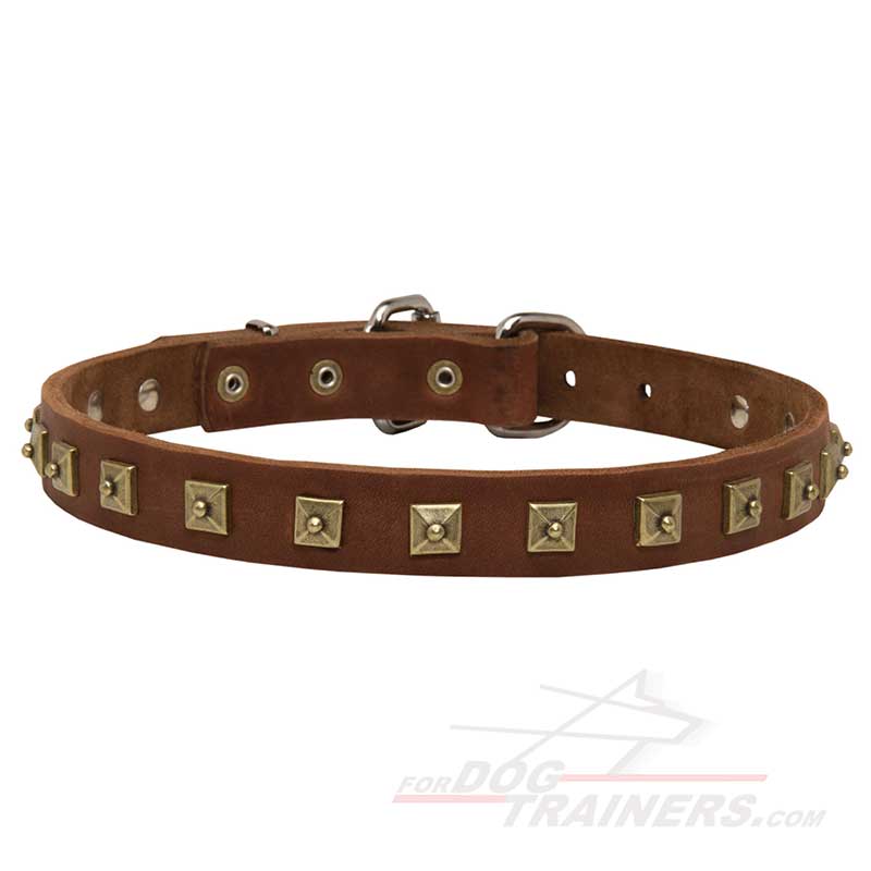 Brass Studded Leather German Shepherd Dog Collar