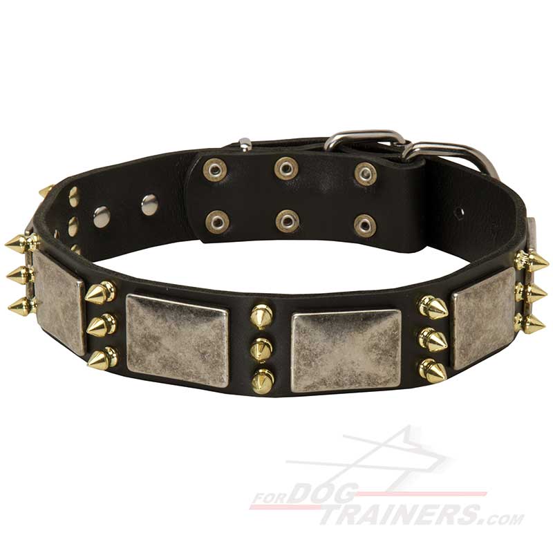 Fabulous War Leather German Shepherd Collar