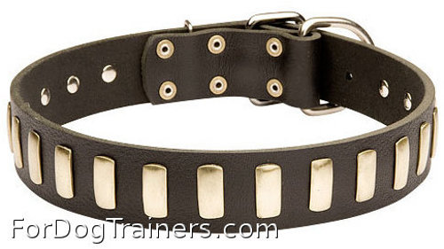 Wide Leather German Shepherd Collar with Special Plates