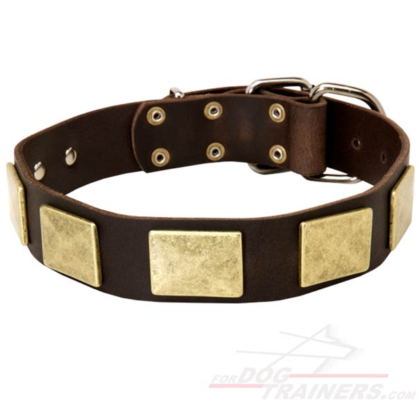 Adjustable Leather German Shepherd Collar with Massive Plates