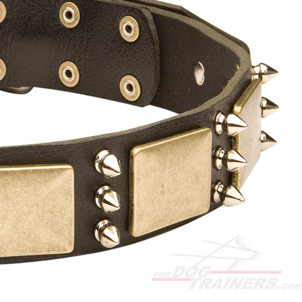 Extraordinary Design Leather German Shepherd Collar with Plates and Spikes