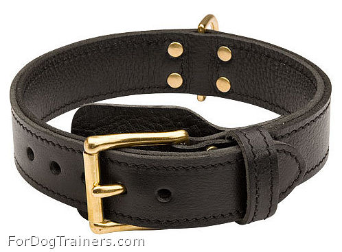 Premium Quality 2 Ply Leather German Shepherd Collar
