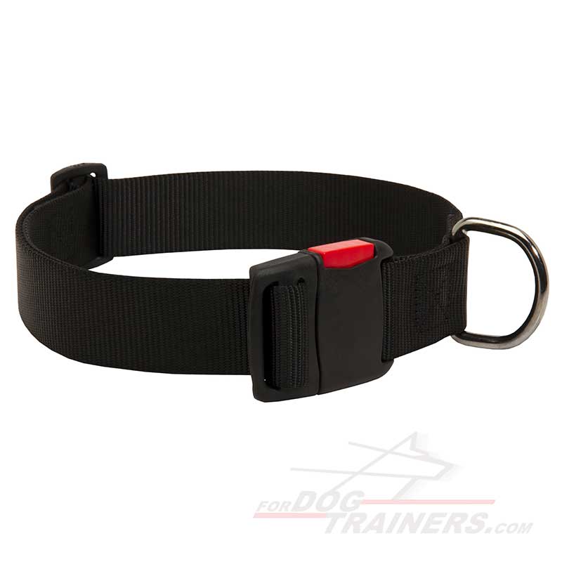 Any Weather Nylon German Shepherd Collar with Quick Release Buckle