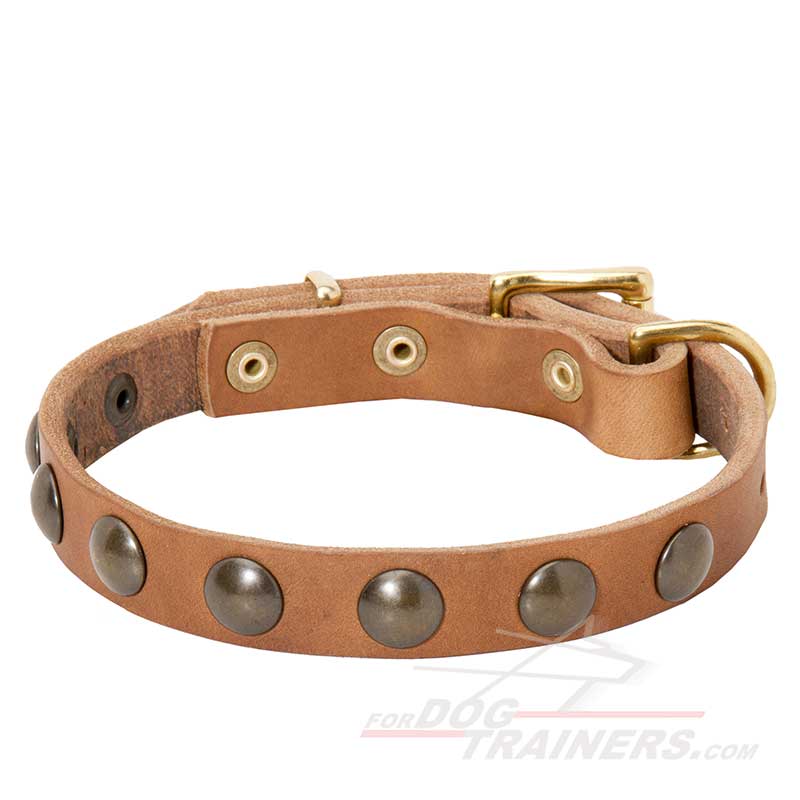 Studded Leather Dog Collar for German Shepherd Puppies