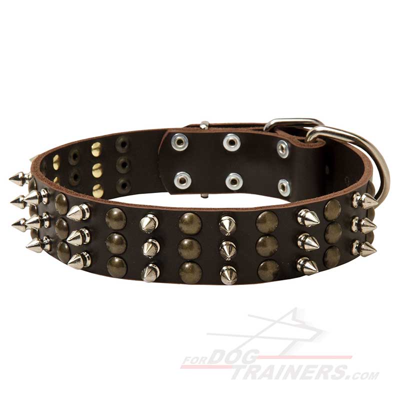 Leather German Shepherd Collar with studs and spikes