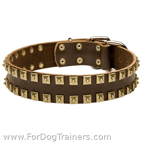 Fashionable Leaher German Shepherd Collar with Exclusive "Caterpillar" Design