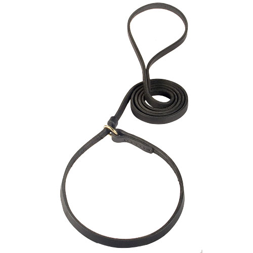 Leather Choke Collar and leash Combo for German Shepherd Training