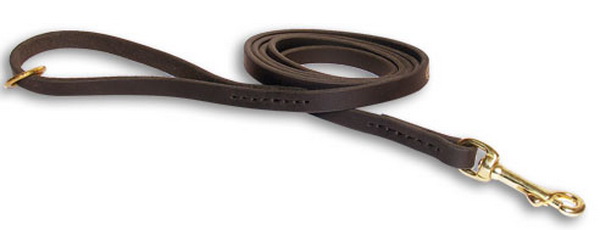 Handcrafted Leather German Shepherd Leash with Brass Hardware