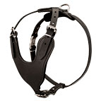 new-h8-leather-walking-padded-dog-harness