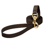 Practical All Weather Nylon German Shepherd Leash